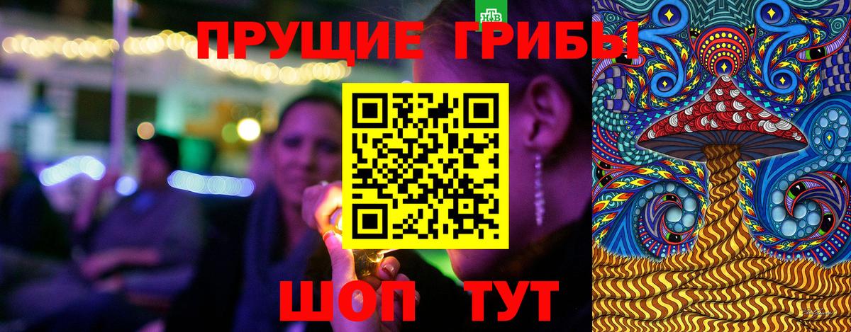 Новозыбков  Галлюциногенные грибы мицелий  Псилоцибиновые грибы GOLDEN TEACHER  Вход с VPN 